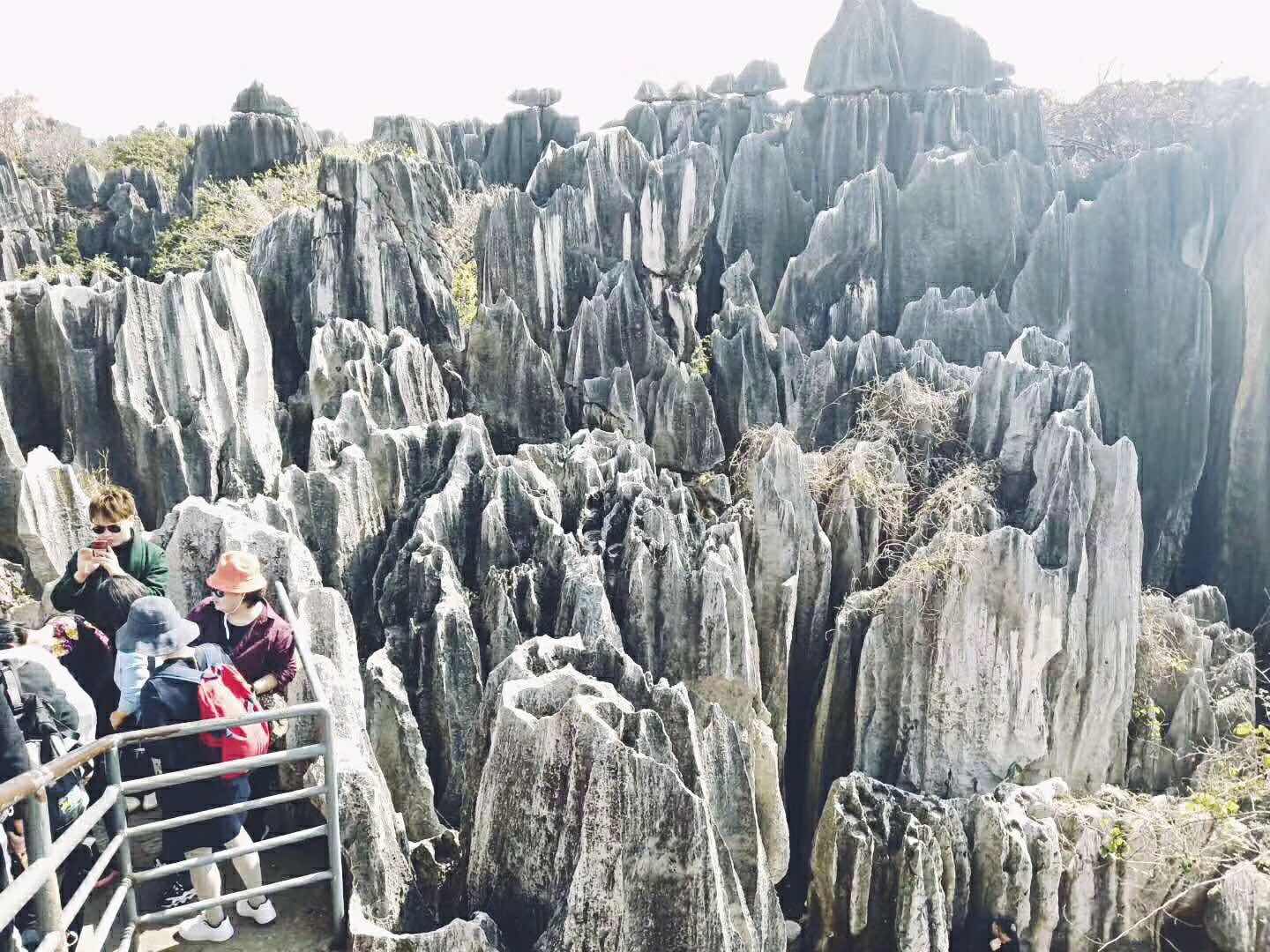 微信圖片_20190320135138.jpg