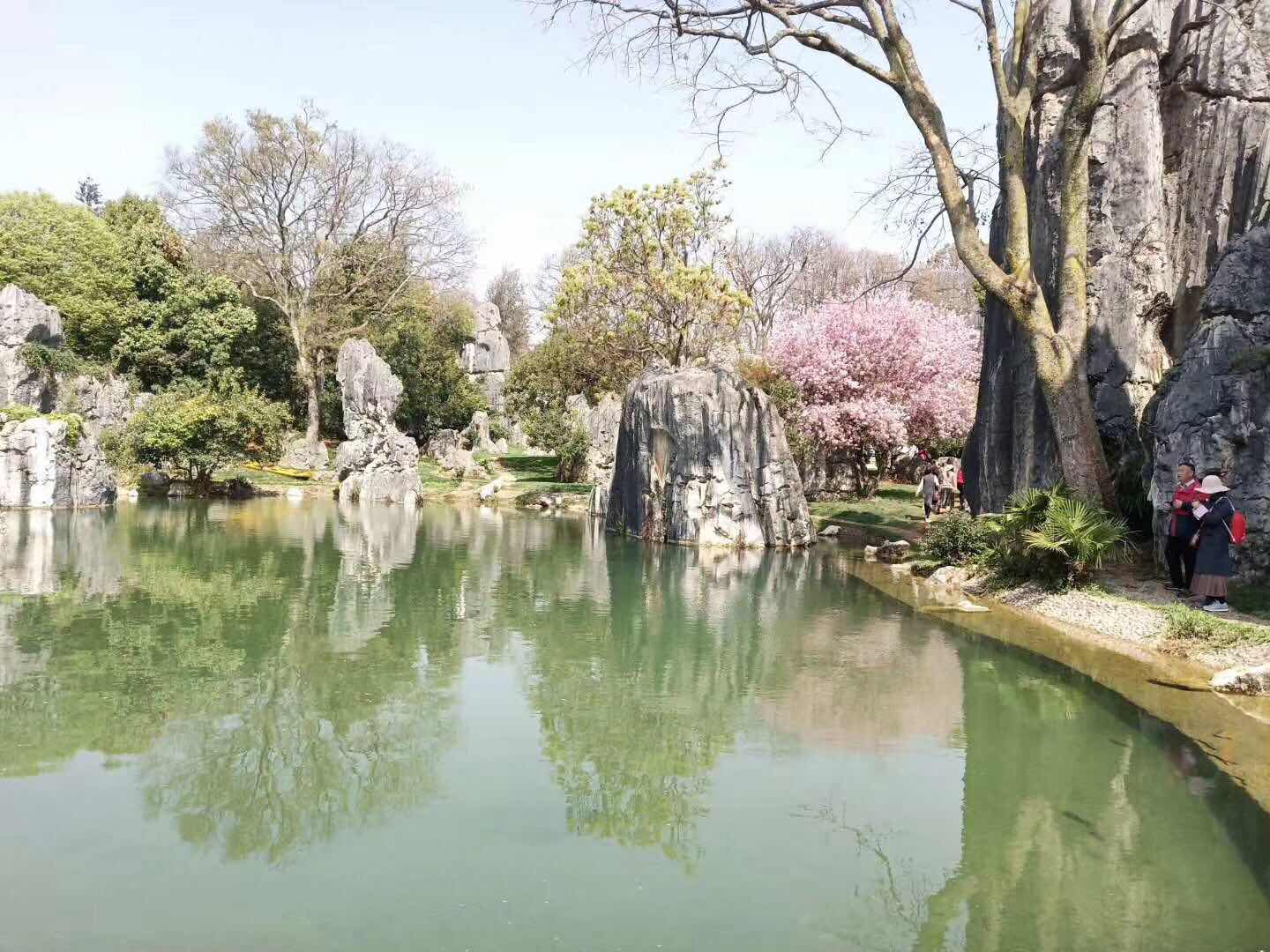 微信圖片_20190320134953.jpg